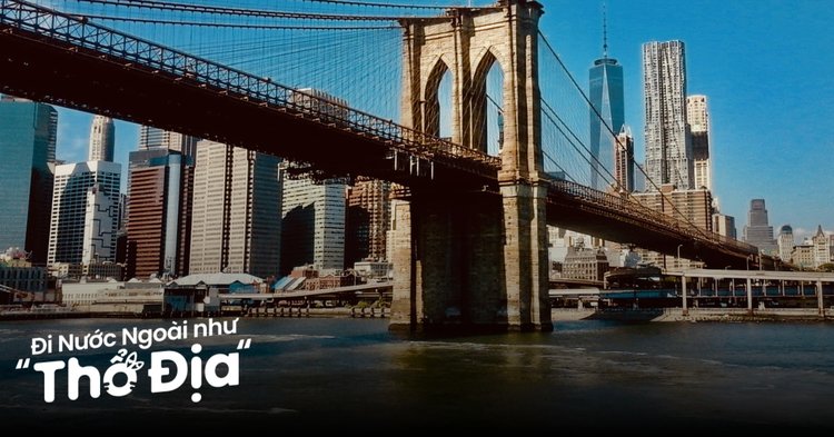 Hình ảnh minh họa giấc mơ và các con số may mắn