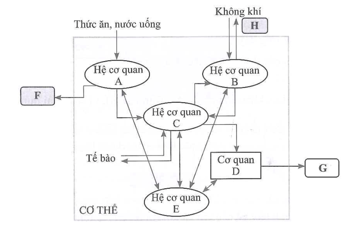 Biểu đồ bạc nhớ các cặp lô hay về cùng nhau